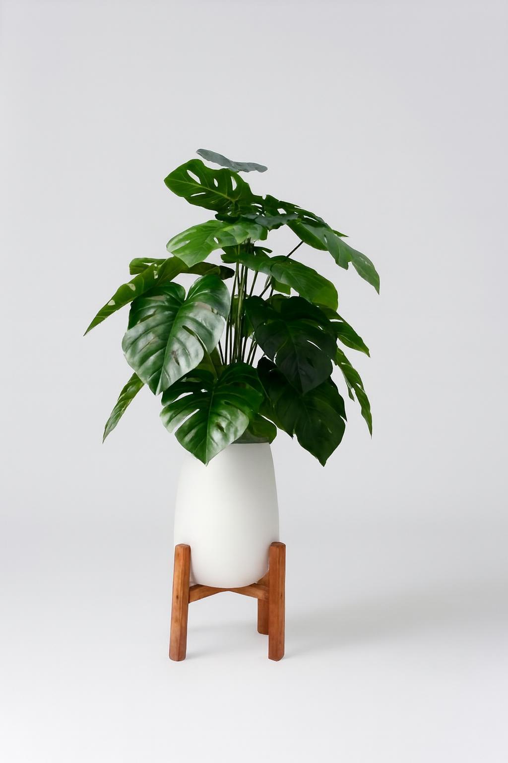 Monstera Artificielle  Avec Grand Pot en Céramique et Support en Bois 6