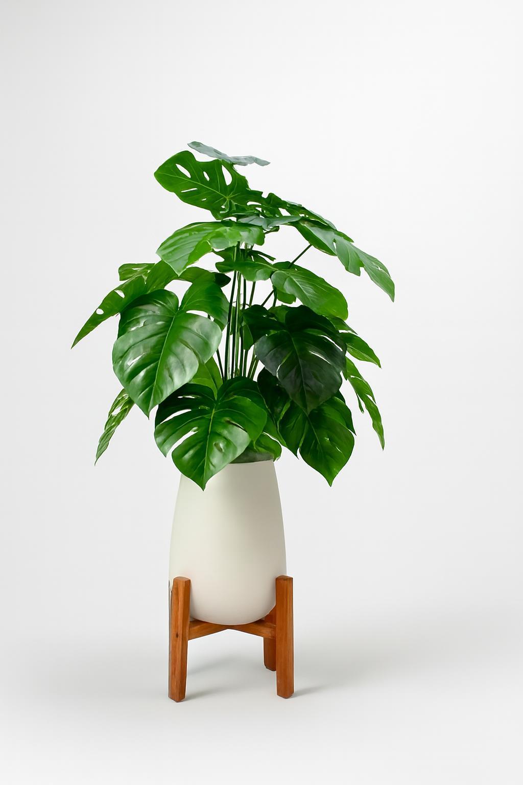 Monstera Artificielle  Avec Grand Pot en Céramique et Support en Bois 2