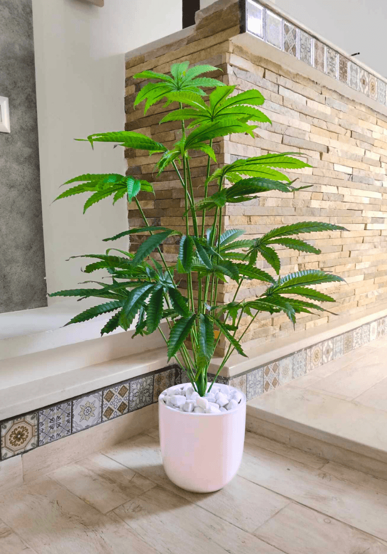 Fatsia japonaise artificielle Dans Un Pot en Céramique X103