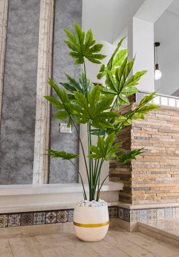 Fatsia japonaise artificielle Dans Un Pot en Céramique X155
