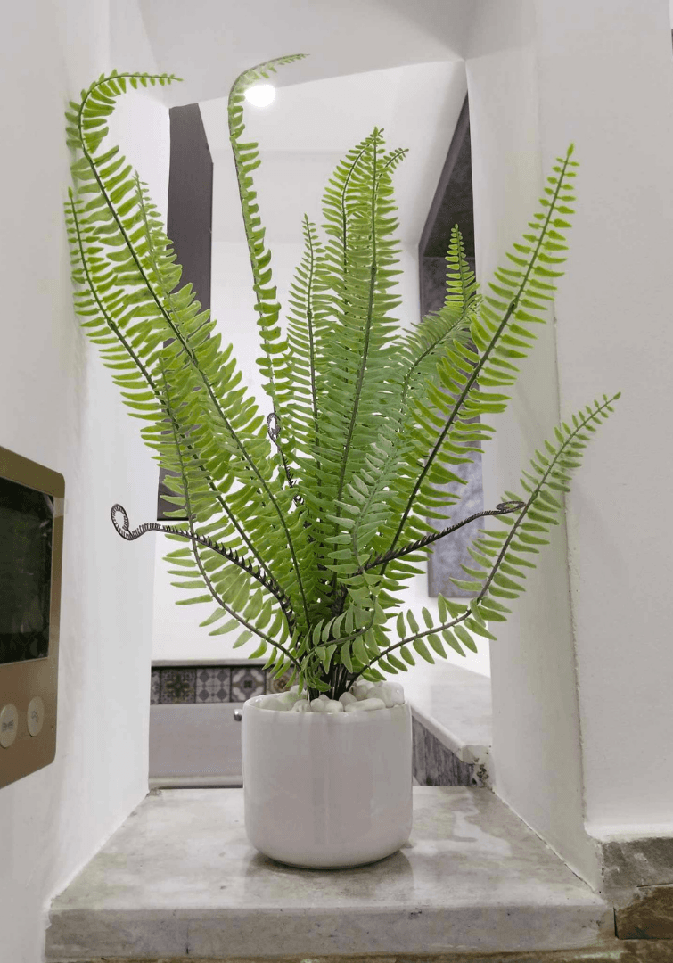 Mini Plante Artificielle fougère Avec Pot En Céramique RF502