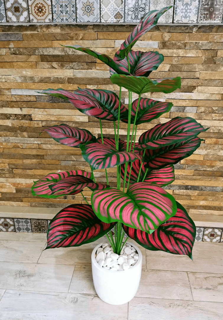 Plante artificielle Calathea Ornata Avec Pot En Céramique B706